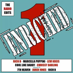 Enriched ONE - The Radio Edits Album