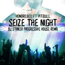 Seize the Night DJ Striker Progressive House Remix (feat. Pitbull & Striker) - Single