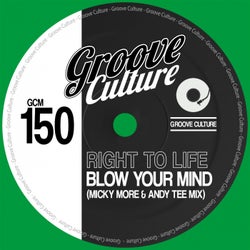 Blow Your Mind (Micky More & Andy Tee Mix)