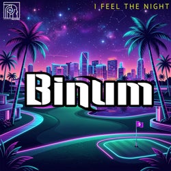 I Feel The Night