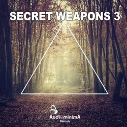 Secret Weapons 3