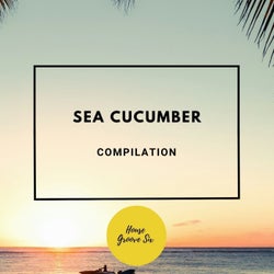 Sea Cucumber