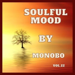 Soulful Mood vol.22