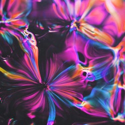 Bittersweet Lullaby  (Seismal D Remix)