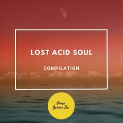 Lost Acid Soul