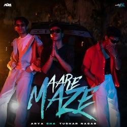 Aare Maze