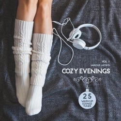 Cozy Evenings, Vol. 1 (25 Warm up Lounge Tunes)