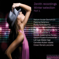Zenith Recordings Winter Selection Part 1