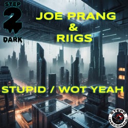 Wot Yeah / Stupid