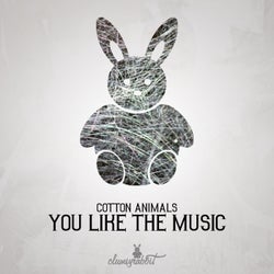 You Like The Music