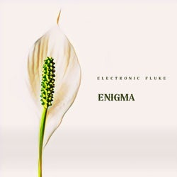 Enigma