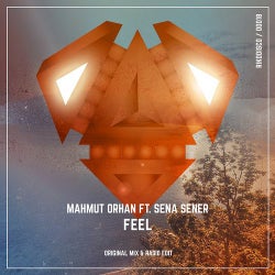 Cover art for Feel
