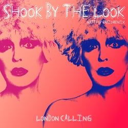 Shook By The Look - Matt Pop Radio Remix