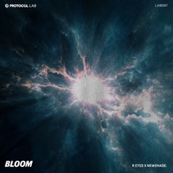 Bloom