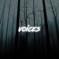 Voices