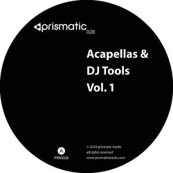 Acapellas & DJ Tools Volume 1