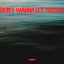 Don't Wanna Let You Go