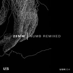 Numb - Remixed