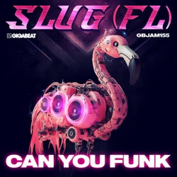 Can You Funk