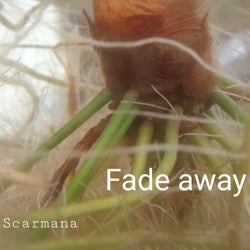 Fade away