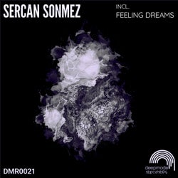 Feeling Dreams