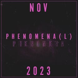 Phenomenal Phenomena | Nov23