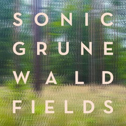 Sonic Grunewald Fields