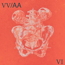 VV/AA 006