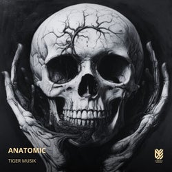 Anatomic