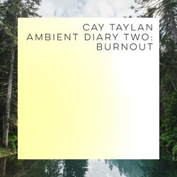 Ambient Diary Two: Burnout