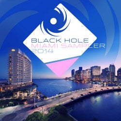 Black Hole Miami Sampler 2014
