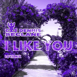 I Like You (Love Mix)