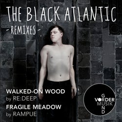 Walked-On Wood / Fragile Meadow Remixes