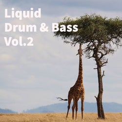 liquid drum & bass vol.2