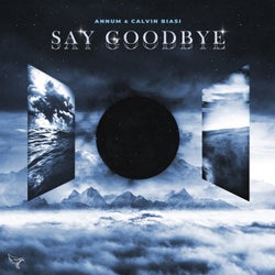 Say Goodbye (ft. Calvin Biasi)