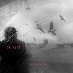 Dejaste