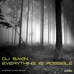 Everything is Possible (in Memory of Paul Walker)