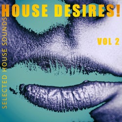 House Desires!, Vol. 2