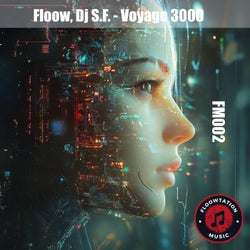 Voyage 3000 (Original Mix)