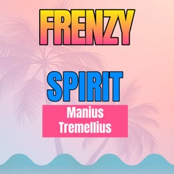 Frenzy Spirit