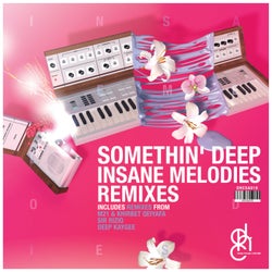 Insane Melodies (Remixes)