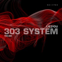 303 System