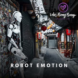 Robot Emotion
