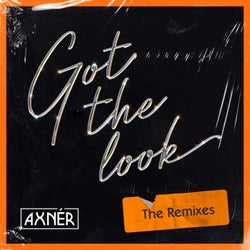 Got The Look (The Remixes)