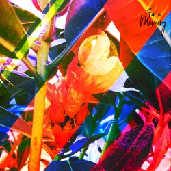 This Week Wasn't Weak - "A" Side [34/2025]