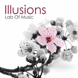 Illusions