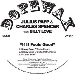 If It Feels Good-Julius Papp