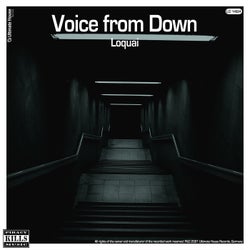 Voice from Down