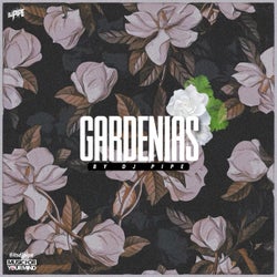 Gardenias