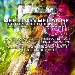 Meeting & Melange Chart by Dorian Cue